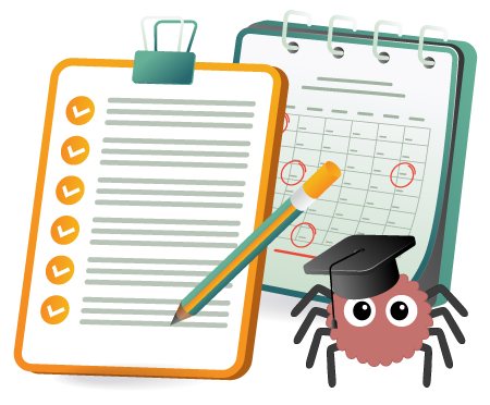 Déroulement accompagnement création de site web WordPress