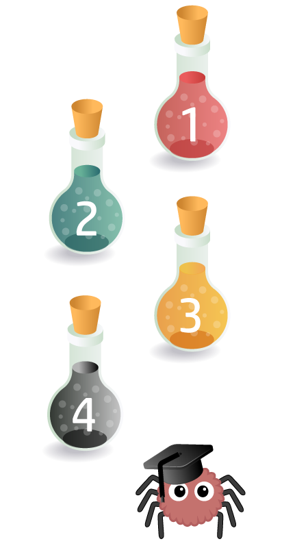 Création, refonte et formation de site web au Québec